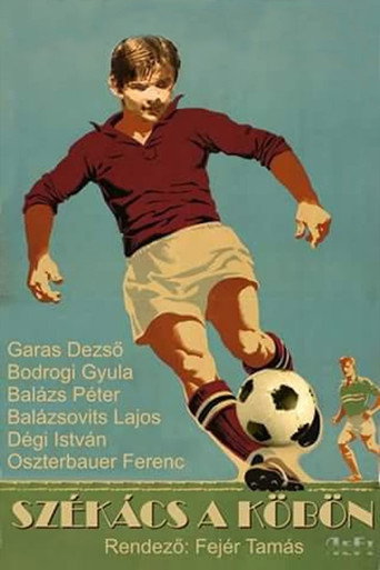Székács a köbön borítókép
