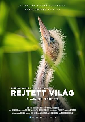 Rejtett világ - A vadvizek története borítókép