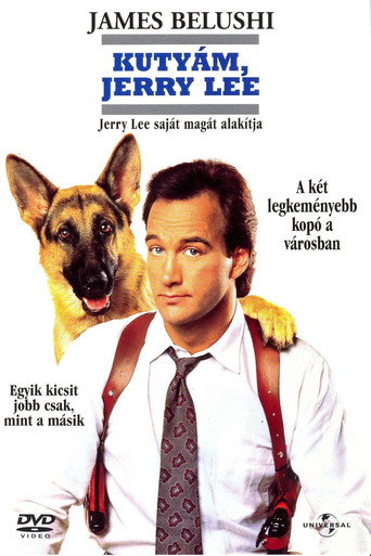 Kutyám, Jerry Lee borítókép
