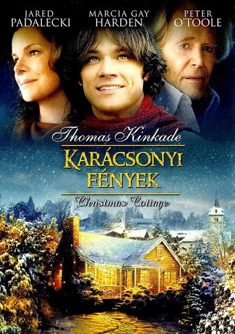 Karácsonyi fények borítókép