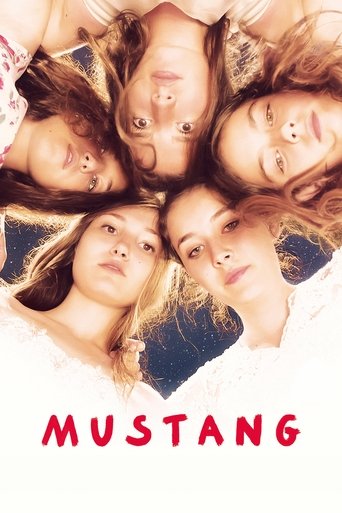 Mustang borítókép