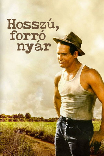 Hosszú, forró nyár borítókép